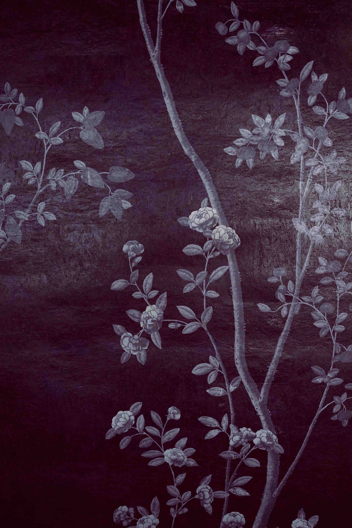 Betula Chinoiserie