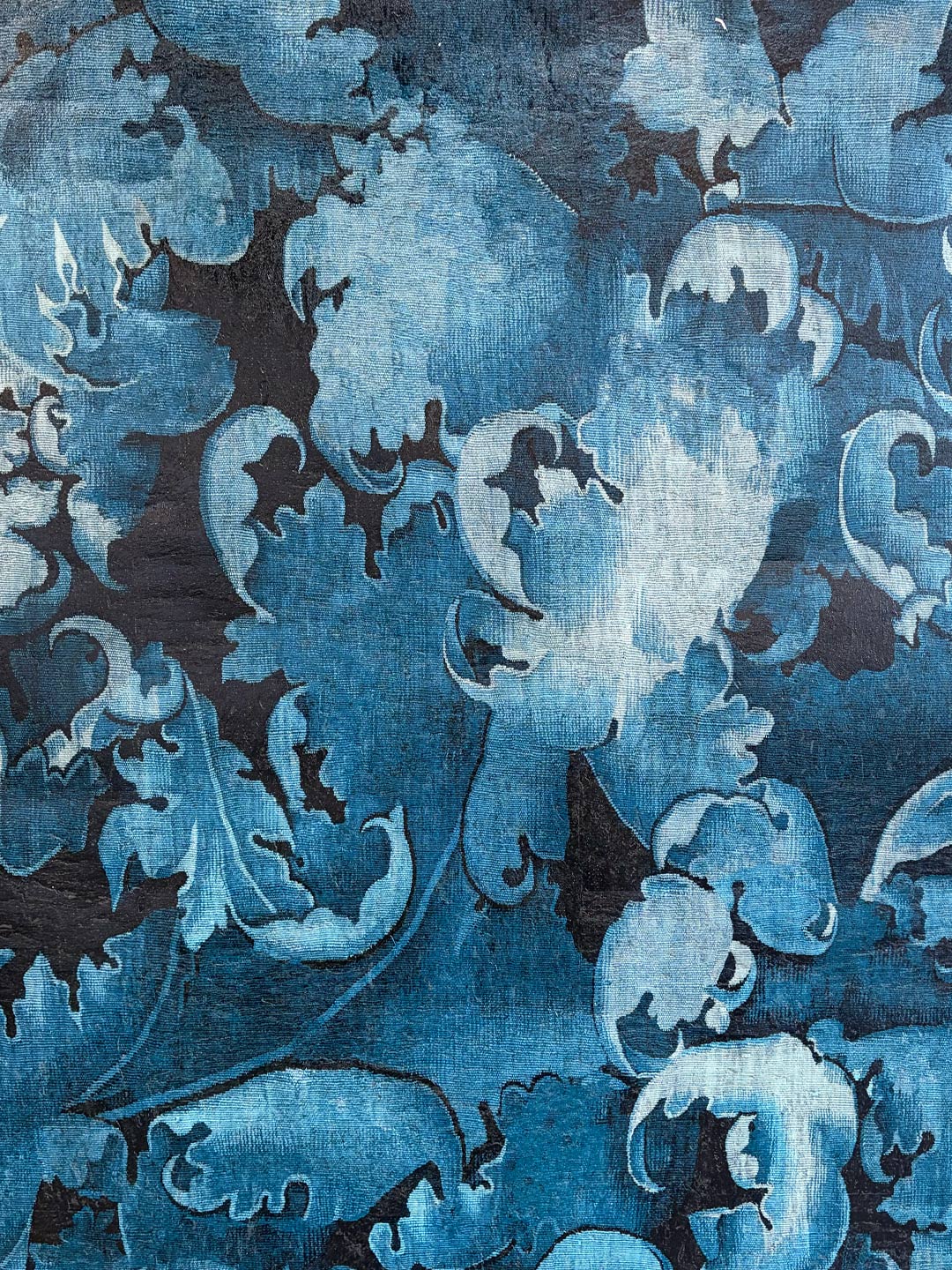 Aristoloche Cordofolia