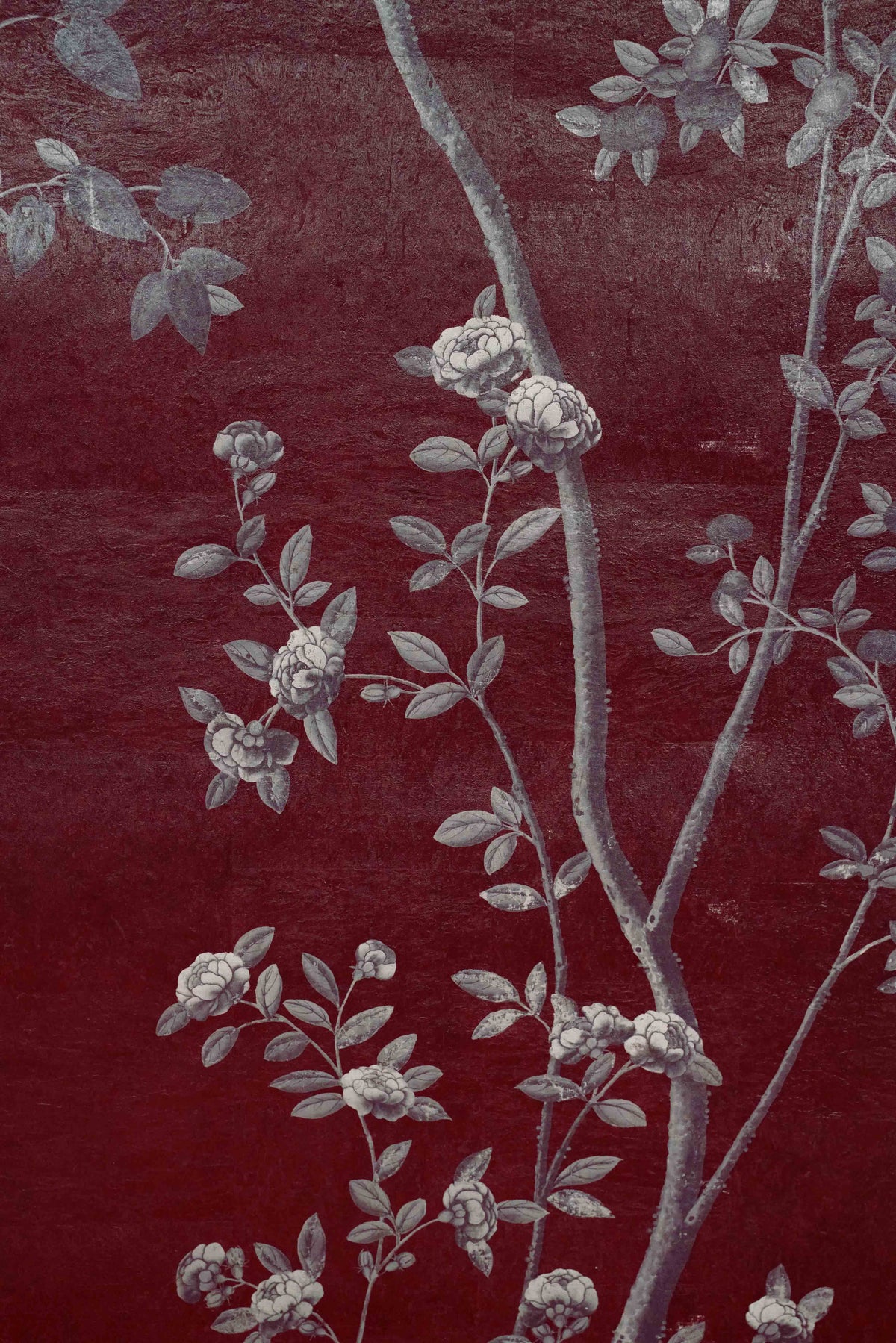 Betula Chinoiserie